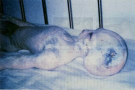 alien1.jpg (11885 bytes)