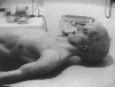 autop2_s.gif (31685 bytes)