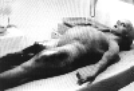 autop4_s.gif (34845 bytes)